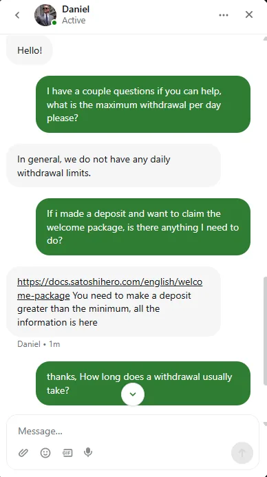 Satoshi Hero live chat session during our audit