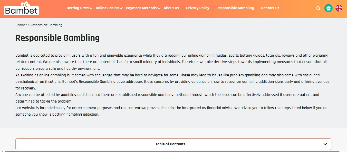 Screenshot of Bambet's responsible-gambling tools