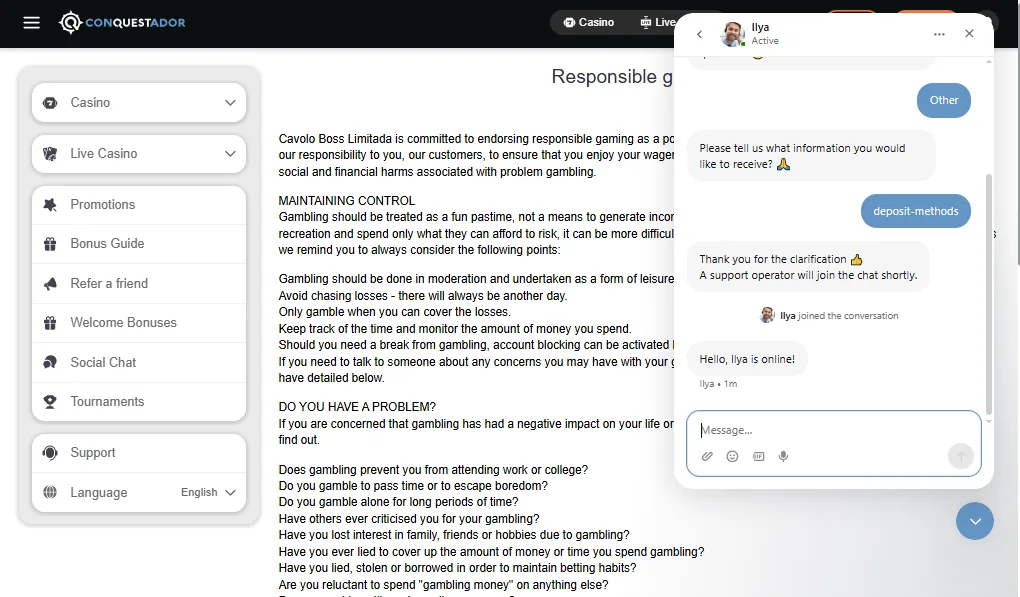 Screenshot of Conquestador's live chat support window