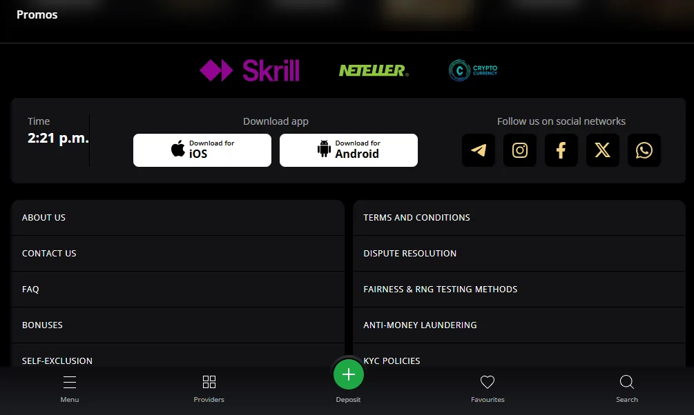 Screenshot of Lex's cashier and payment methods