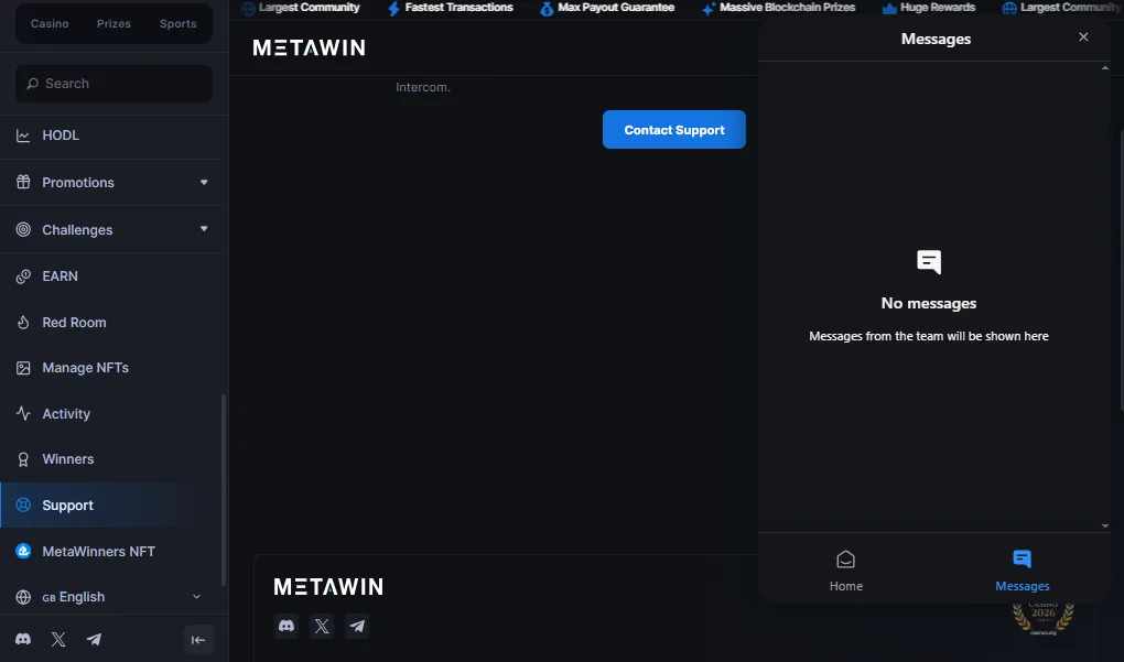 Screenshot of MetaWin's live chat support window