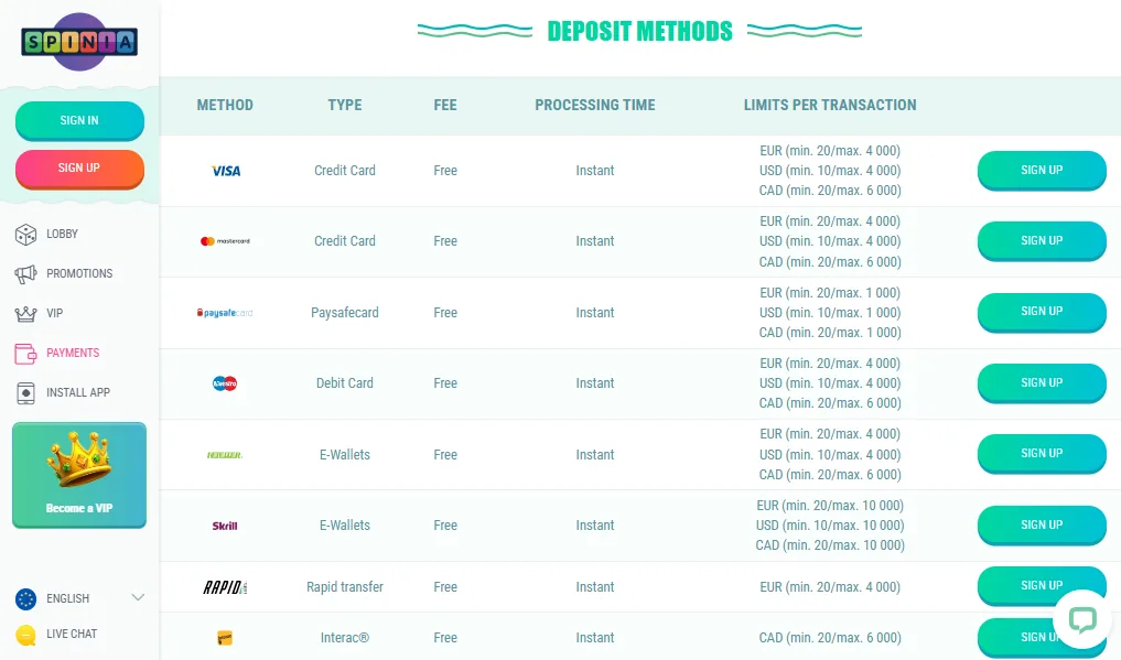 Screenshot of Spinia's cashier and payment methods