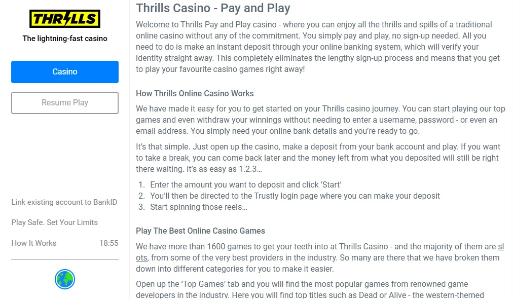Screenshot of Thrills's cashier and payment methods