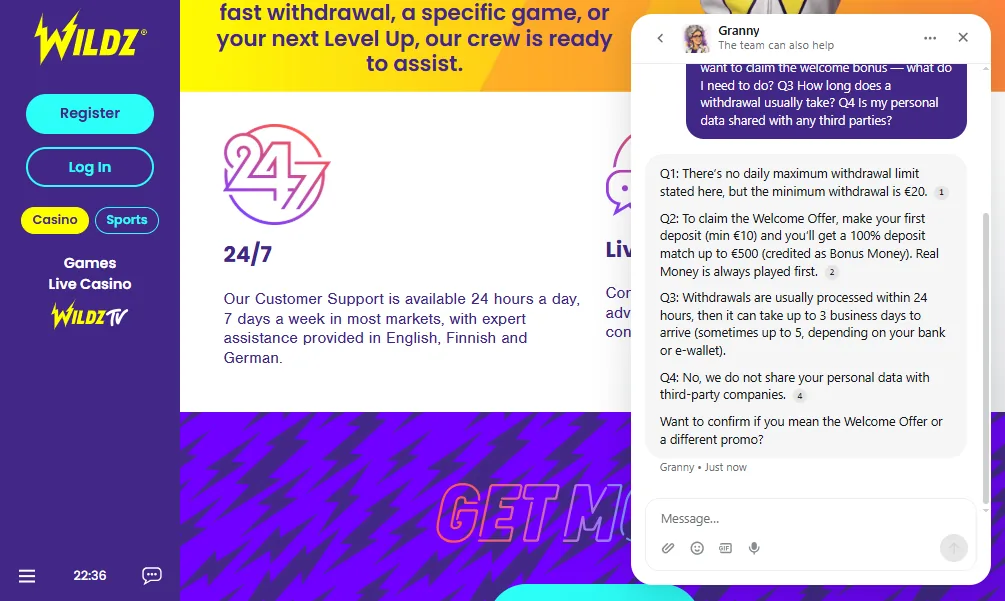 Screenshot of Wildz's live chat support window