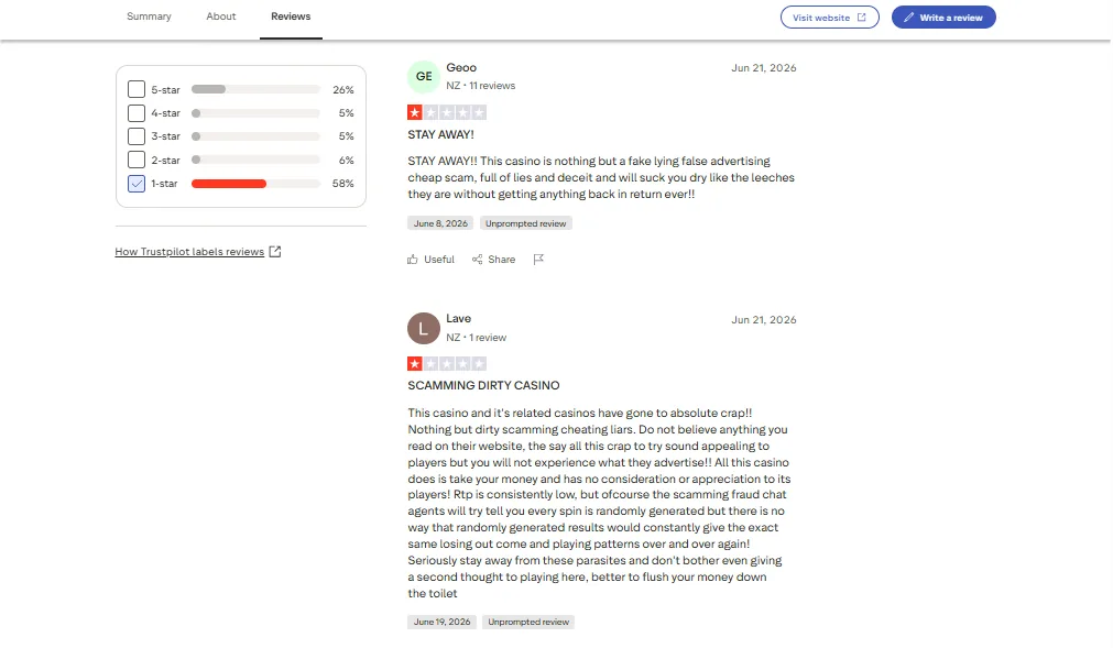 Screenshot of Wildz's negative Trustpilot review