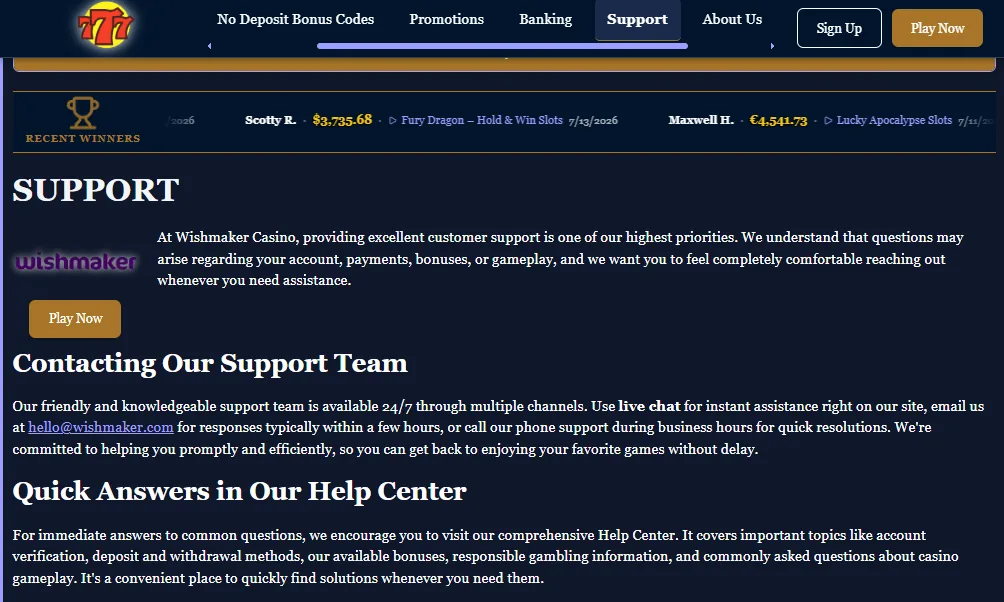 Screenshot of Wishmaker's live chat support window