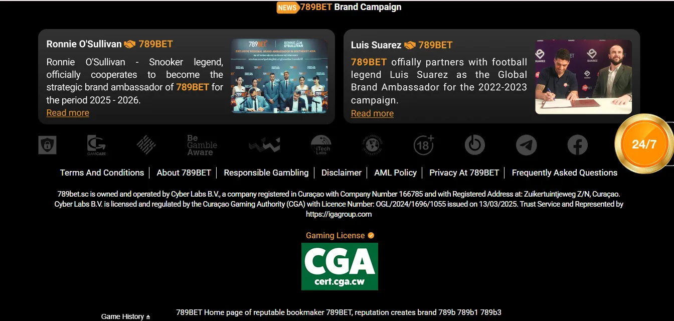 Screenshot of 789bet's footer licence and regulator details