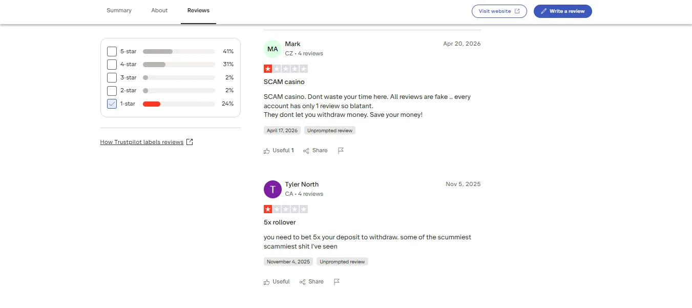 Screenshot of Dachbet's negative Trustpilot review