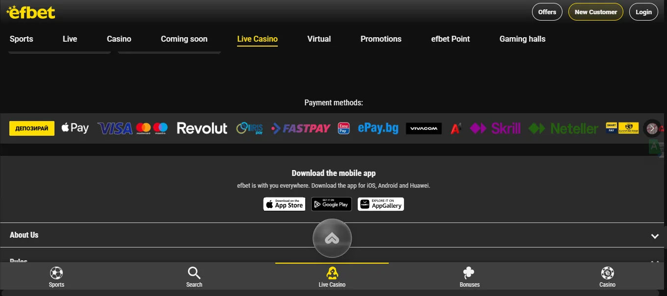 Screenshot of EF Bet's cashier and payment methods