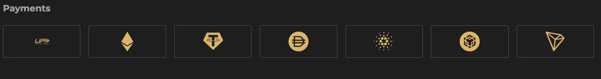 Screenshot of Ftv Club's cashier and payment methods