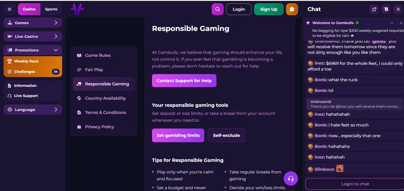 Screenshot of Gambulls's responsible-gambling tools