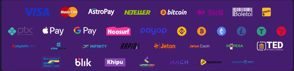Screenshot of GodBunny's cashier and payment methods