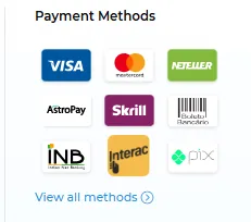 Screenshot of Grandes Loterías's cashier and payment methods