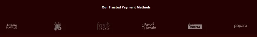 Screenshot of Hovarda's cashier and payment methods