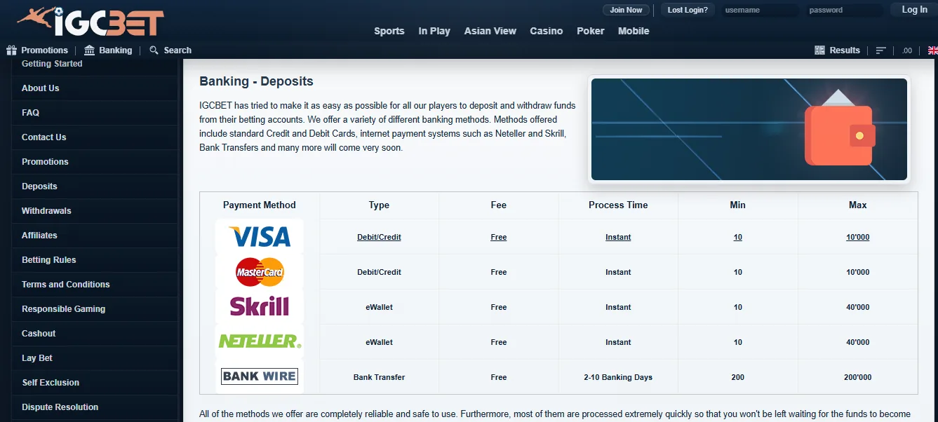 Screenshot of IGC Bet's cashier and payment methods