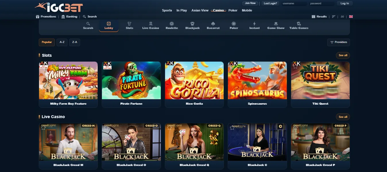 Screenshot of IGC Bet's games lobby