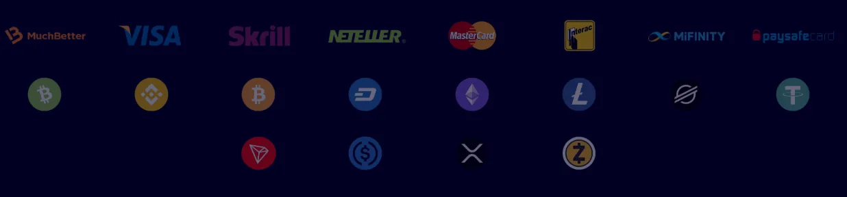 Screenshot of Intellect Bet's cashier and payment methods