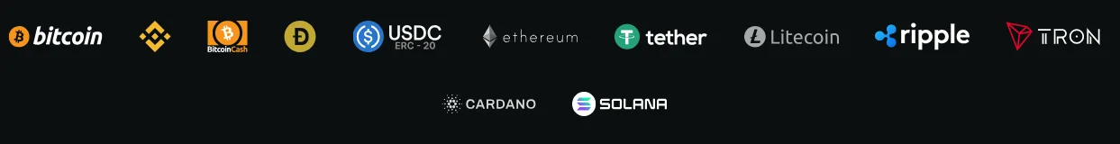 Screenshot of Kirgo's cashier and payment methods