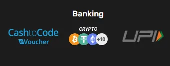 Screenshot of Lucky Bird Casino's cashier and payment methods