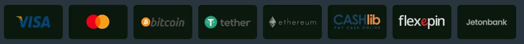 Screenshot of MisterXor's cashier and payment methods