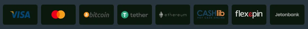 Screenshot of MisterXvip's cashier and payment methods