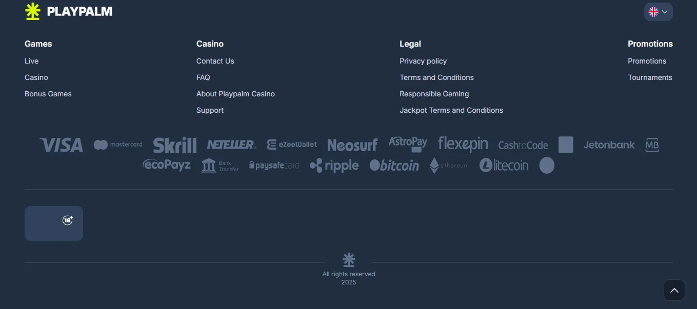 Screenshot of PlayPalm's cashier and payment methods