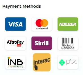 Screenshot of PLAYUSALOTTERIES's cashier and payment methods