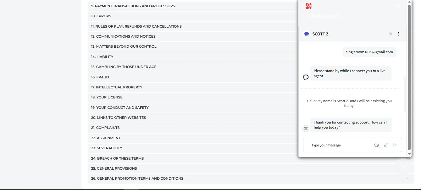 Screenshot of Realspin's live chat support window