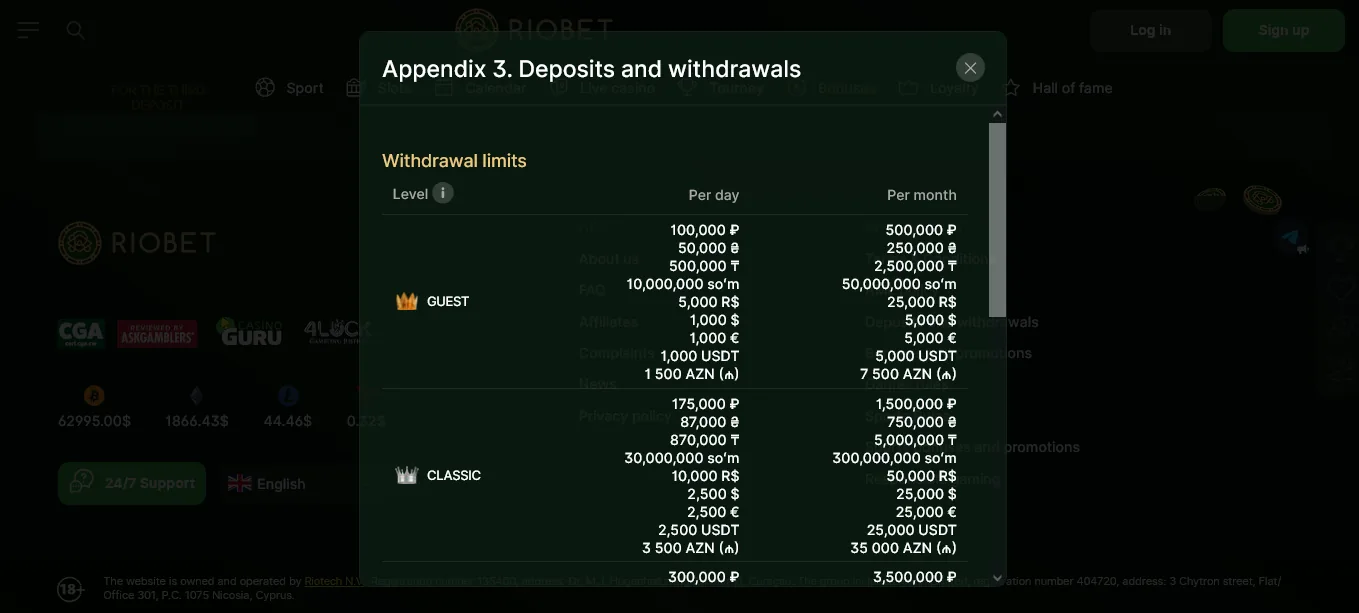 Screenshot of RioBet's cashier and payment methods