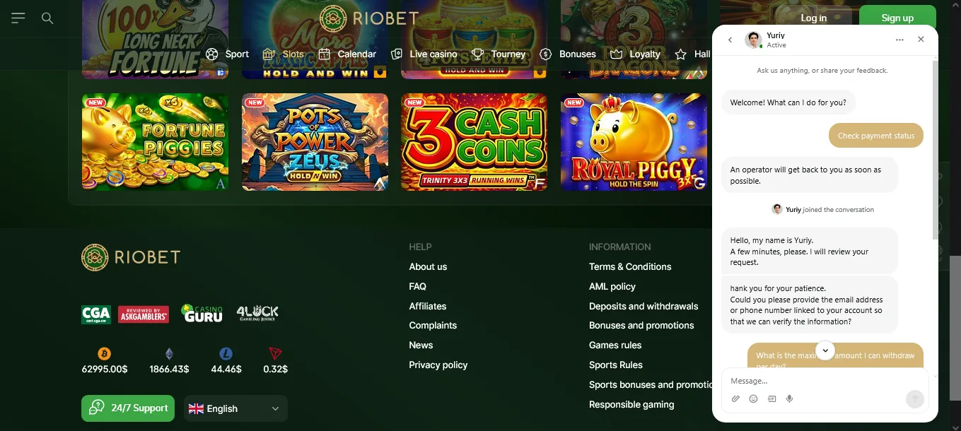 Screenshot of RioBet's live chat support window