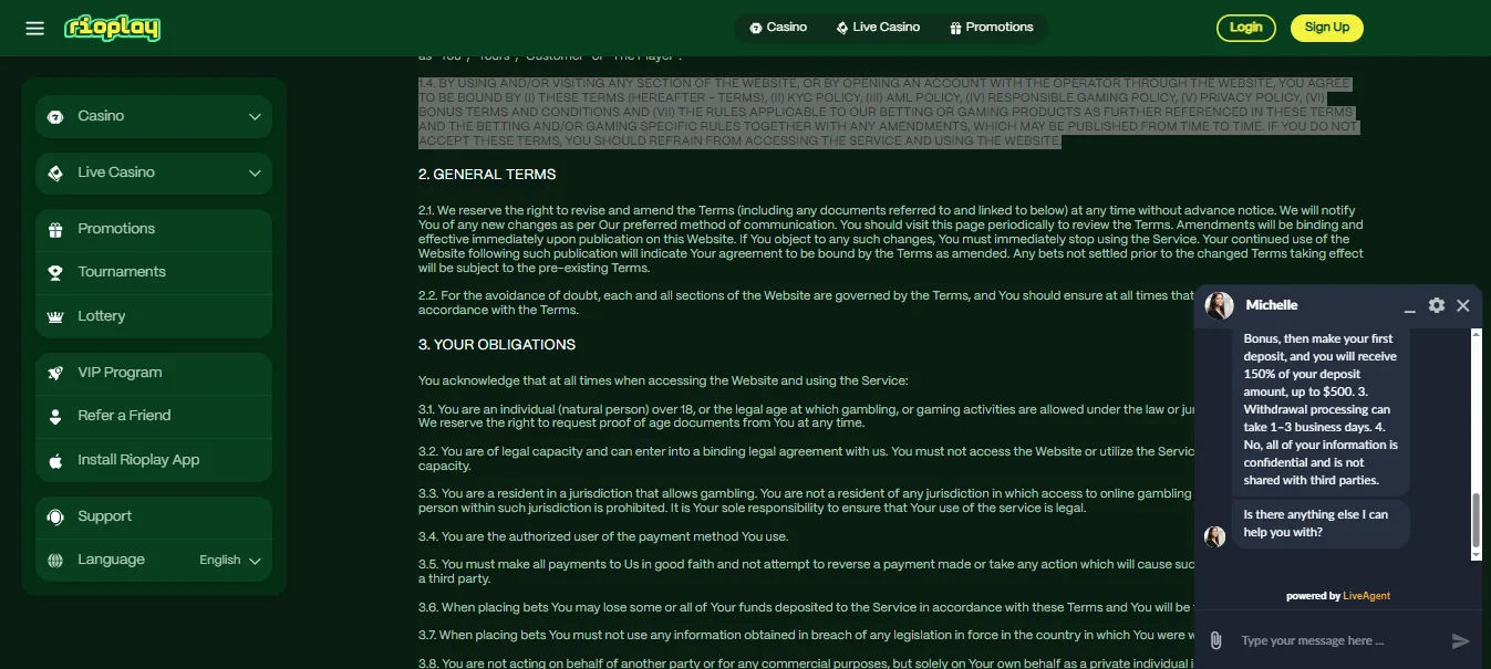 Screenshot of Rioplay Casino's live chat support window