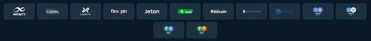 Screenshot of Royal Coala's cashier and payment methods