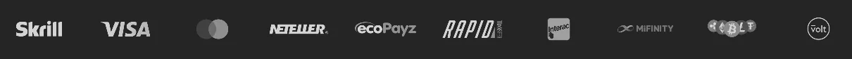Screenshot of Silver Play's cashier and payment methods