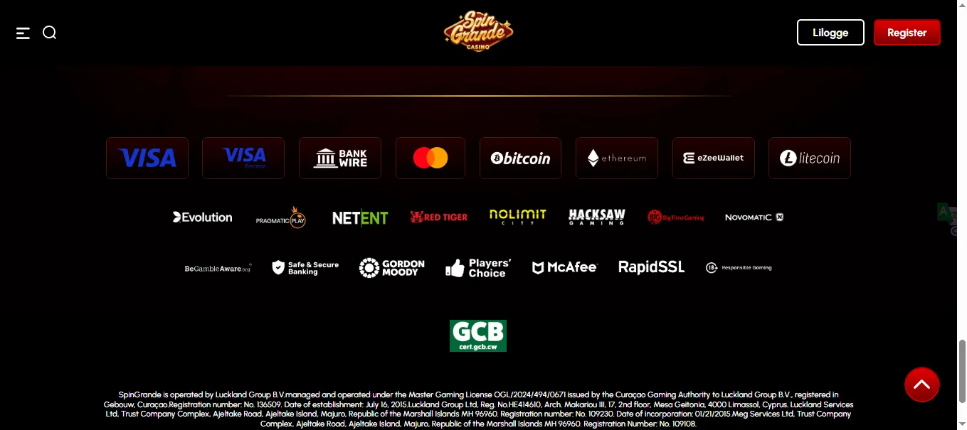 Screenshot of Spin Grande's cashier and payment methods