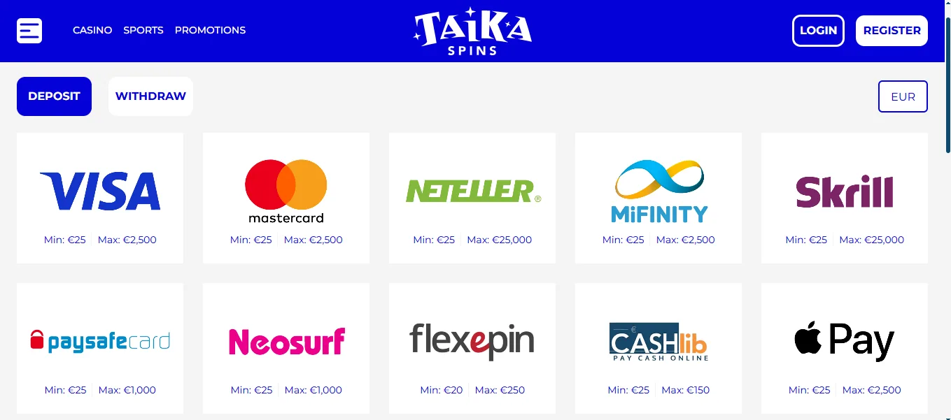 Screenshot of Taika Spinni's cashier and payment methods