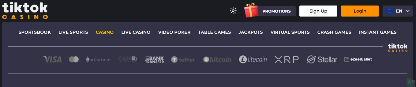 Screenshot of TikTok Casino's cashier and payment methods