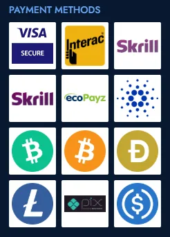 Screenshot of VashBet's cashier and payment methods