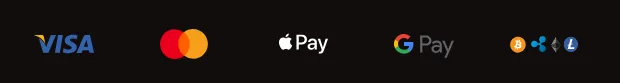 Screenshot of VinciSpin's cashier and payment methods
