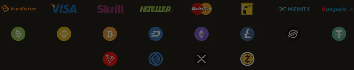 Screenshot of VIP Casino's cashier and payment methods