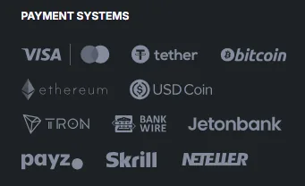 Screenshot of Vodds's cashier and payment methods