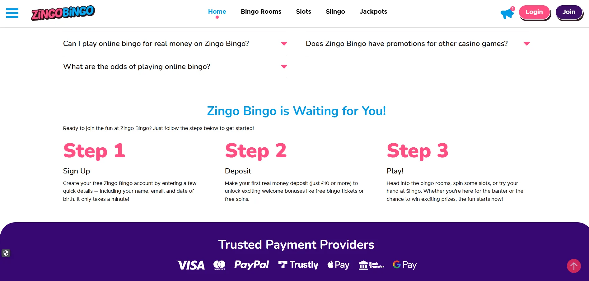 Screenshot of Zingo Bingo's cashier and payment methods