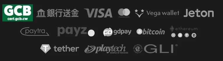 Screenshot of Zipang Casino's cashier and payment methods